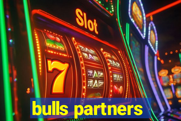 bulls partners